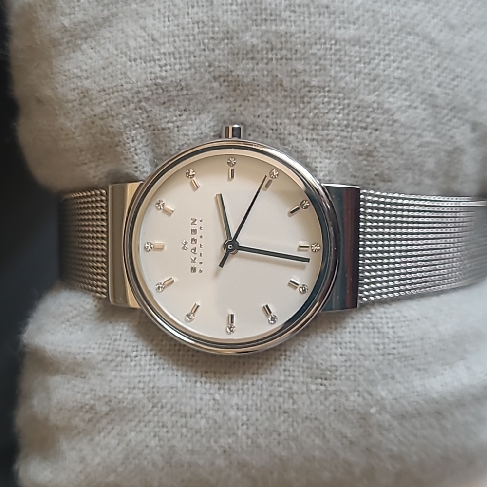 Women's Skagen Stainless Steel Mesh Banded Watch - NEW